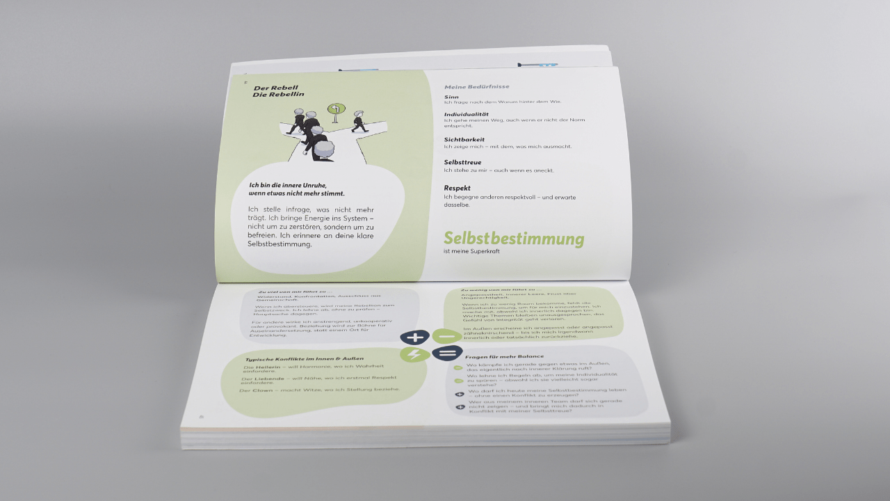 Buch: TeamPLAY - Das Ende der Selbstzweifel - Mr. Transformation Shop