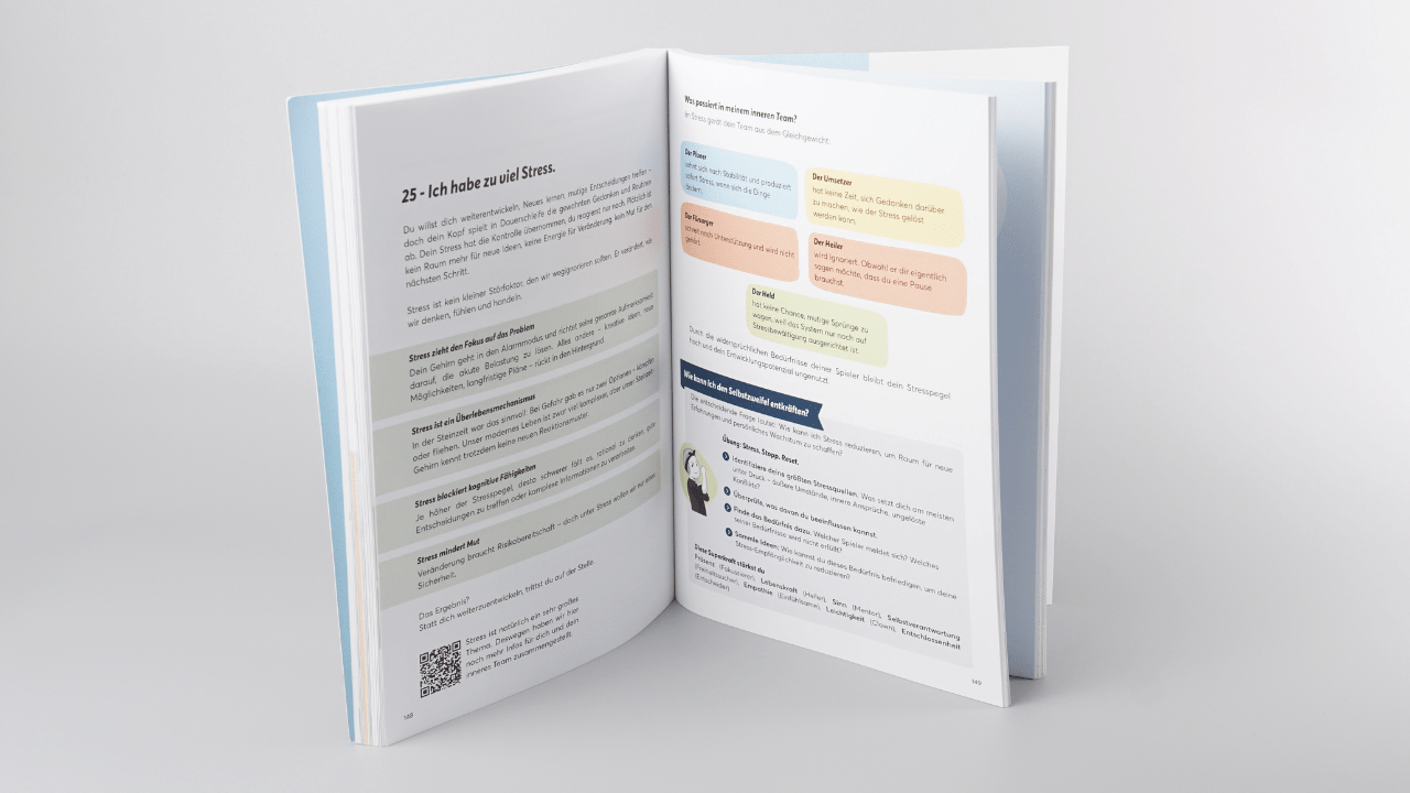 Buch: TeamPLAY - Das Ende der Selbstzweifel - Mr. Transformation Shop