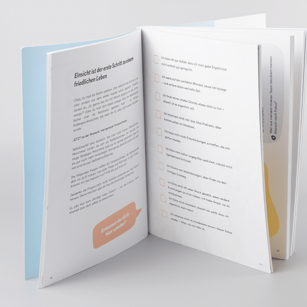 Buch: TeamPLAY - Das Ende der Selbstzweifel - TeamPLAY Shop