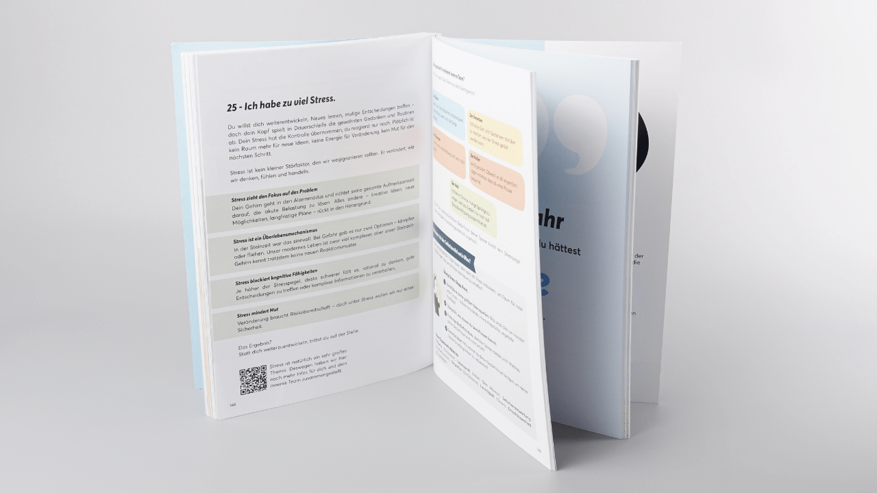 Buch: TeamPLAY - Das Ende der Selbstzweifel - Mr. Transformation Shop