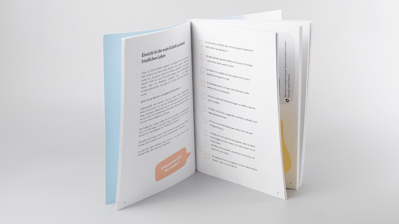 Buch: TeamPLAY - Das Ende der Selbstzweifel - Mr. Transformation Shop