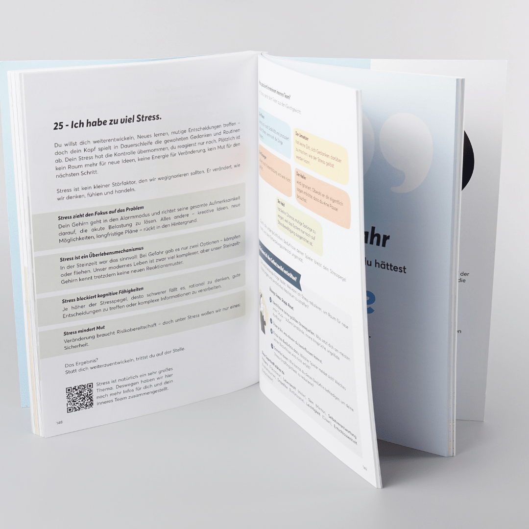 Buch: TeamPLAY - Das Ende der Selbstzweifel - TeamPLAY Shop