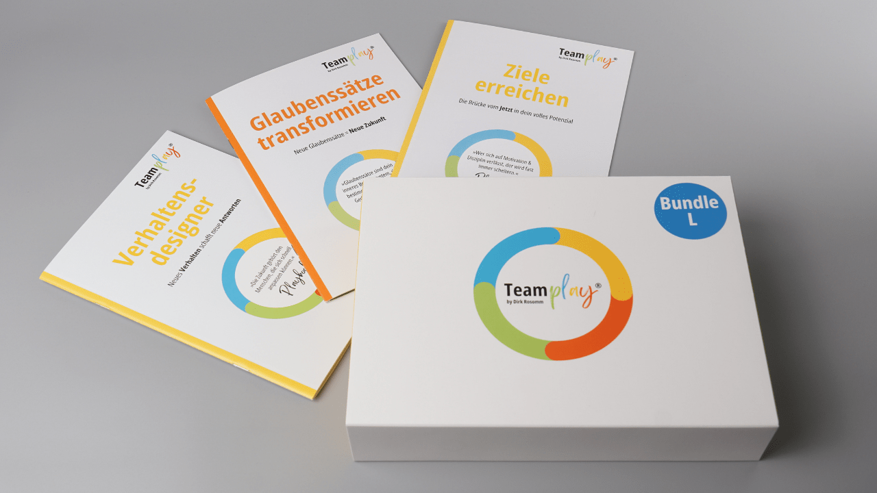 Bundle: TeamPLAY Box L - Mr. Transformation Shop