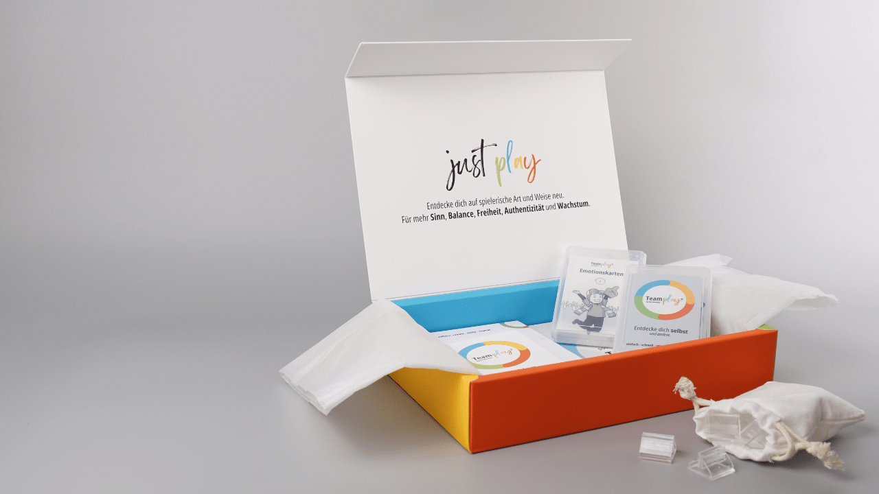 Bundle: TeamPLAY Box S - Mr. Transformation Shop