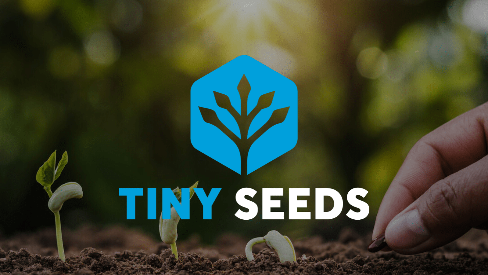 Tiny Seeds - Mr. Transformation Shop