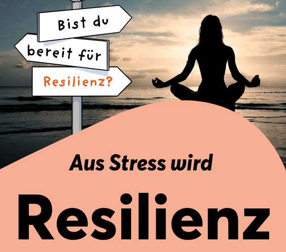 Aus Stress wird Resilienz - TeamPLAY Shop