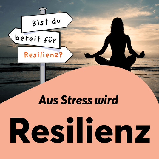 Aus Stress wird Resilienz - TeamPLAY Shop