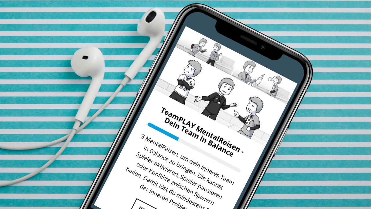 Bundle: TeamPLAY Box L - Mr. Transformation Shop