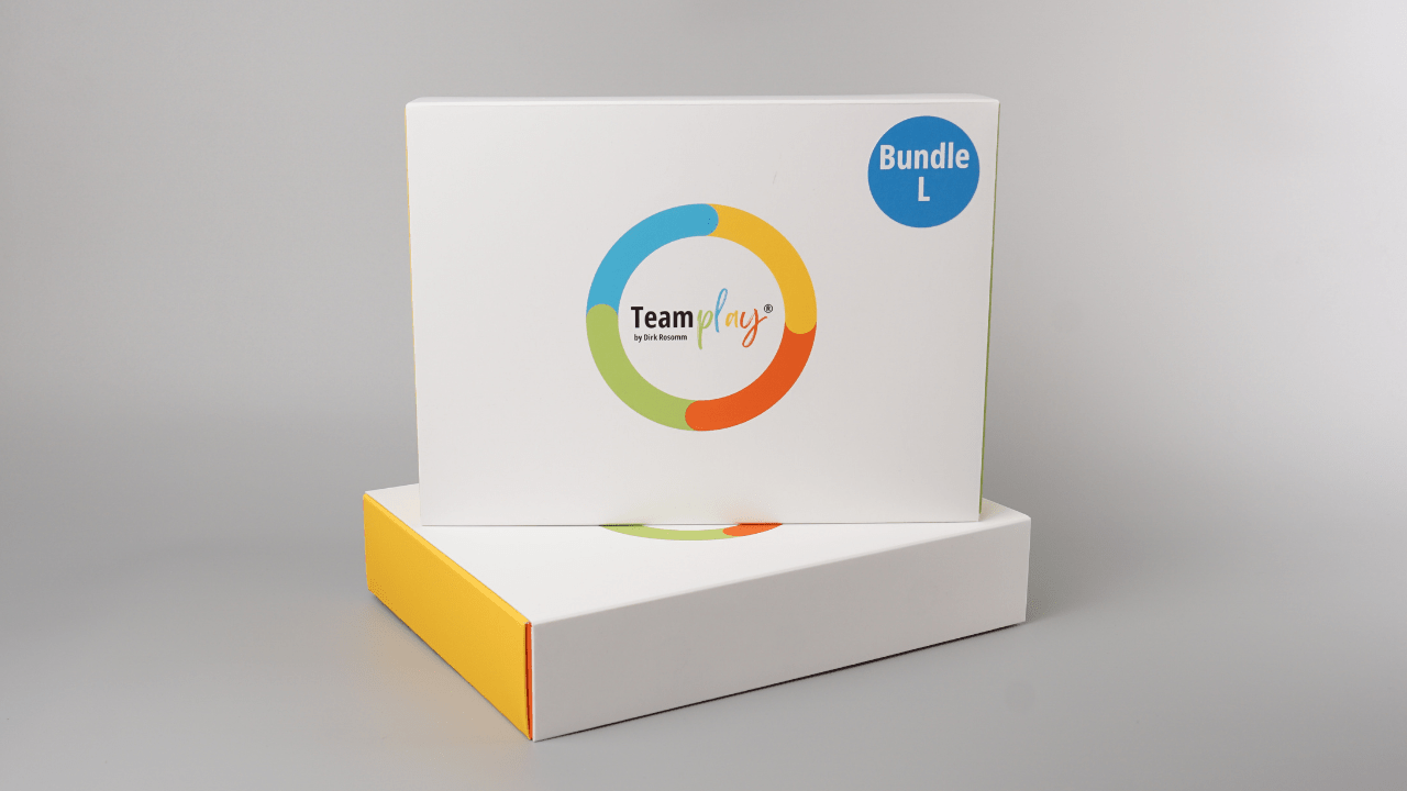 Bundle: TeamPLAY Box L - Mr. Transformation Shop