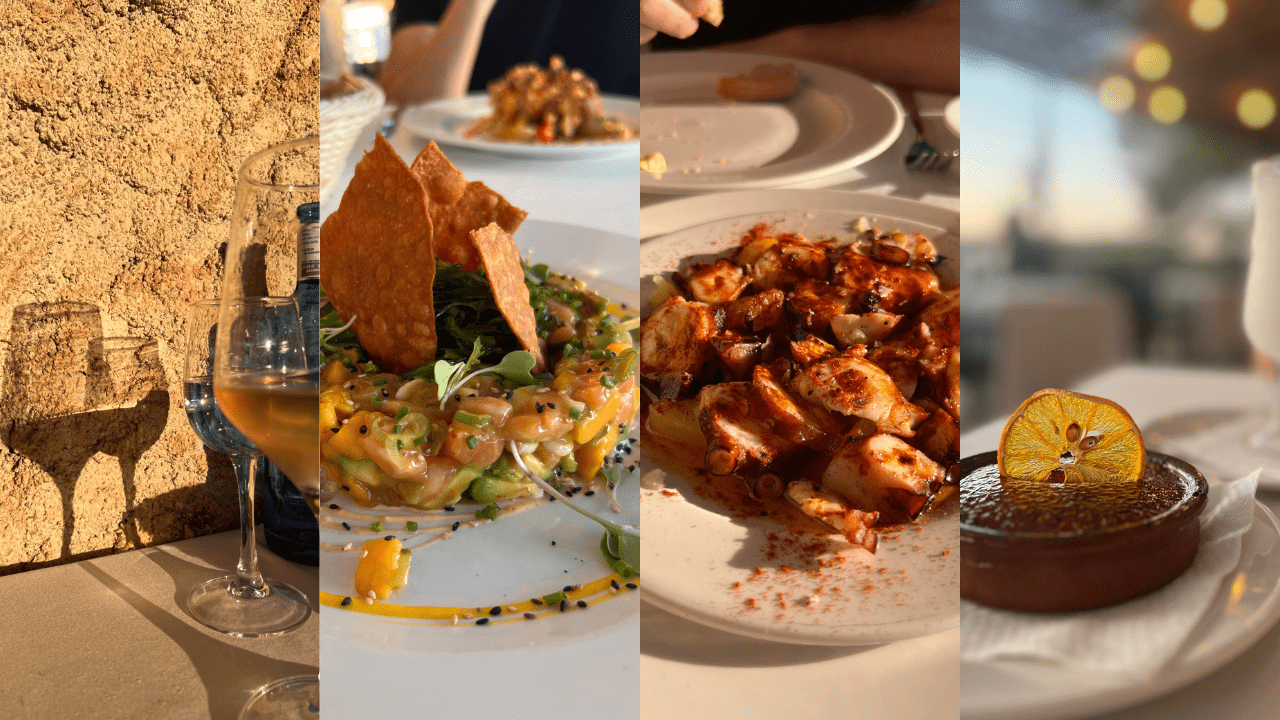 Seminar: Transformation Coach Level 2 - Mallorca 2026 - Mr. Transformation Shop