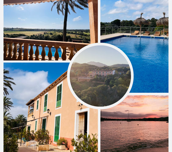 Seminar: Transformation Coach Level 2 - Mallorca 2027 - TeamPLAY Shop