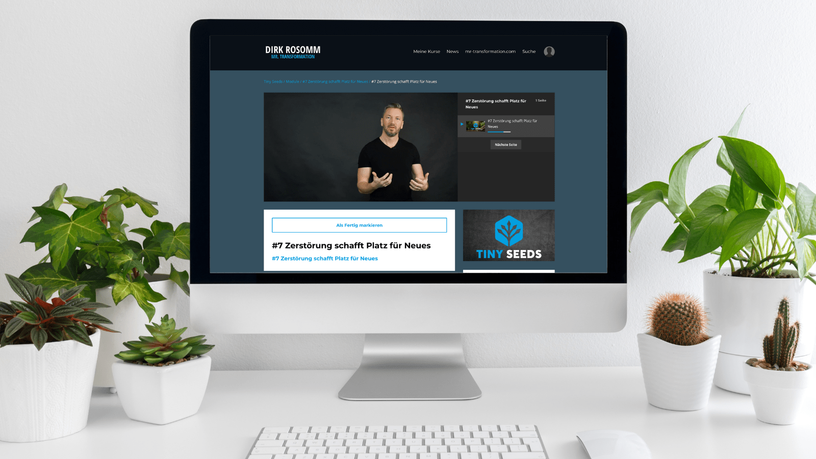 Tiny Seeds - Mr. Transformation Shop