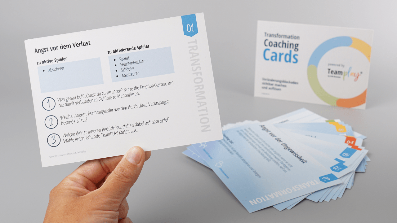 Transformation Coaching Cards - Mr. Transformation Shop